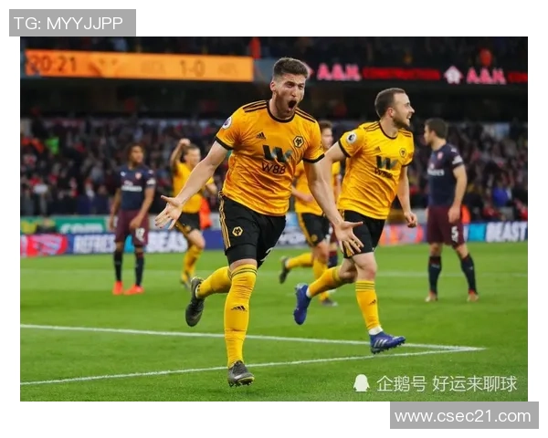 狼队与埃弗顿对决前瞻及比分预测分析助你掌握比赛动态